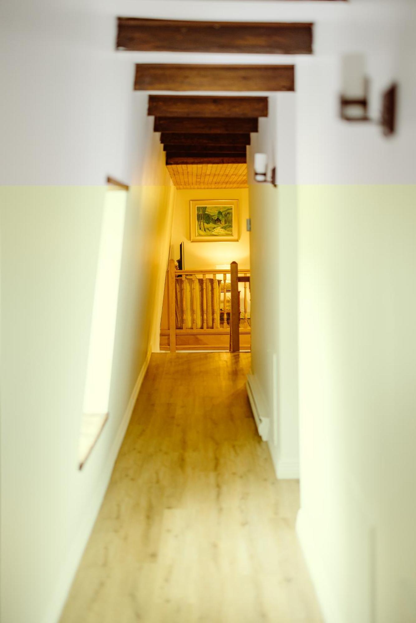 Le Clos Des Brumes Chalet 查图里彻尔 外观 照片